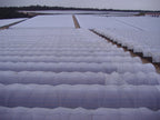 Solarig Classic 156 Woven Plastic Greenhouse Cover/Film