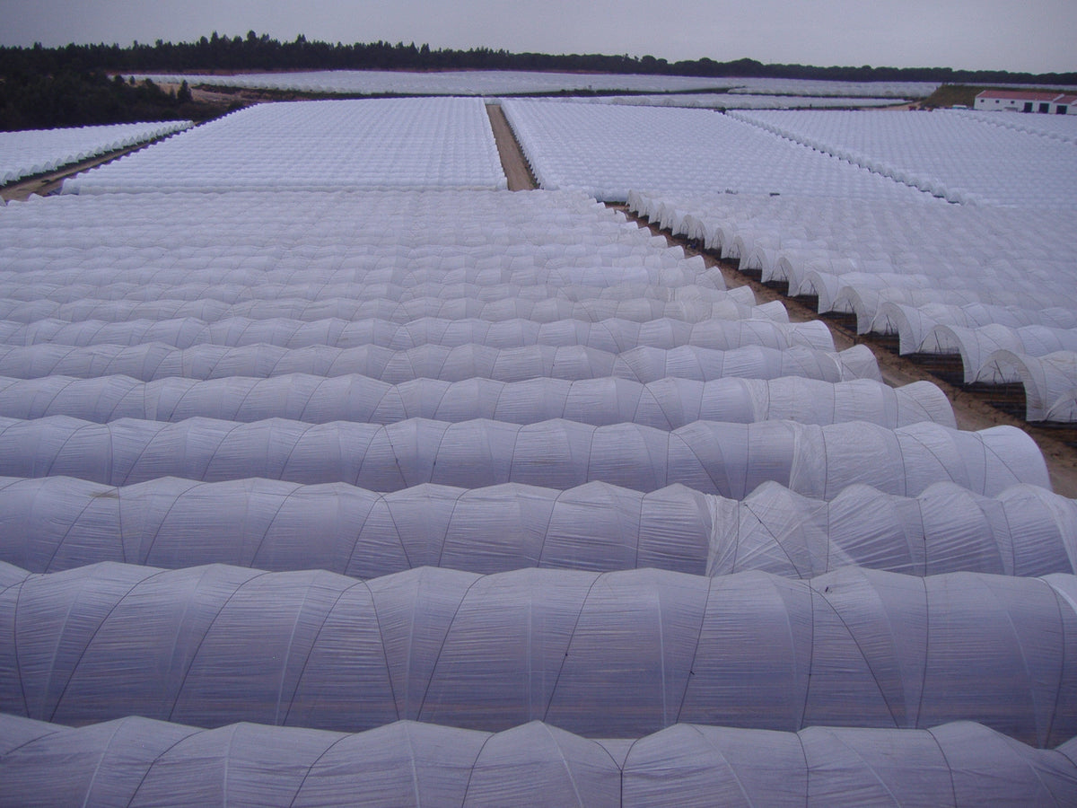 Solarig Classic 156 Woven Plastic Greenhouse Cover/Film