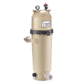 150 Sq Ft Pentair Clean & Clear Plus Cartridge Filter