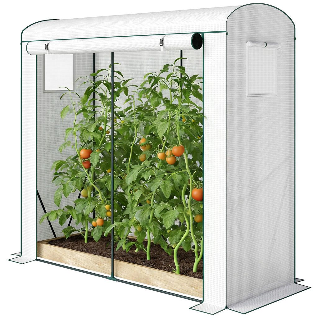 78.7" x 29.5" x 74" Mini Greenhouse, White