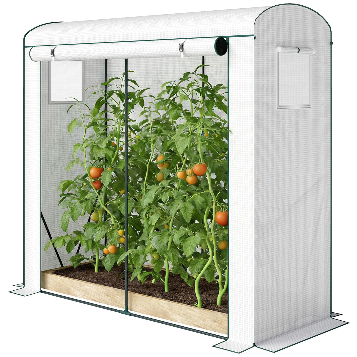 78.7" x 29.5" x 74" Mini Greenhouse, White