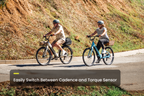 Pace 4 Step-Through Ebike