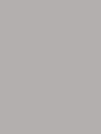 Standard Paint Options