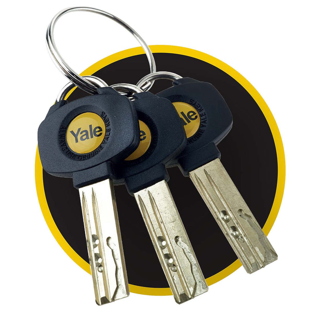 Yale Platinum 3 Star Keyed-Alike Euro Cylinders