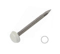 Polytop Plastic Headed Fixing Pins