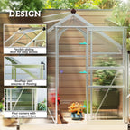 6' x 4' x 6.6' Polycarbonate Greenhouse with Aluminum Frame, Silver