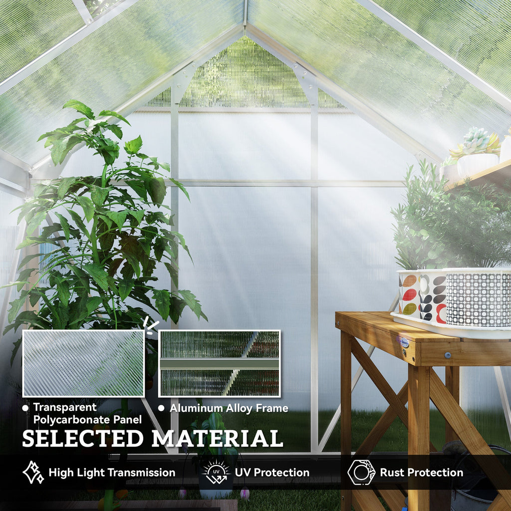 6' x 4' x 6.6' Polycarbonate Greenhouse with Aluminum Frame, Silver