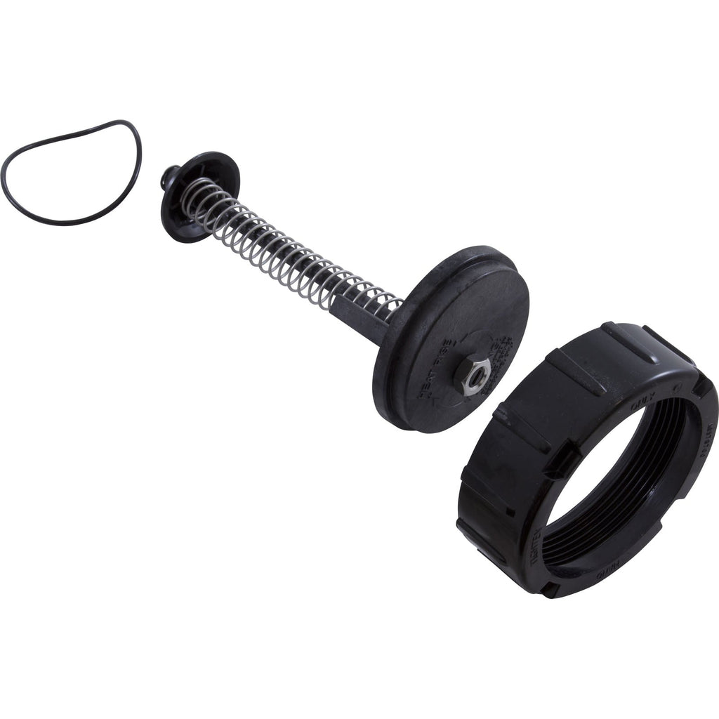 Jandy R0453700 LRZE/LRZM/LXi Heater Bypass Assembly with O-Ring