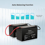 Refurbished 12V 100Ah Lithium Iron Phosphate Battery w/ Bluetooth