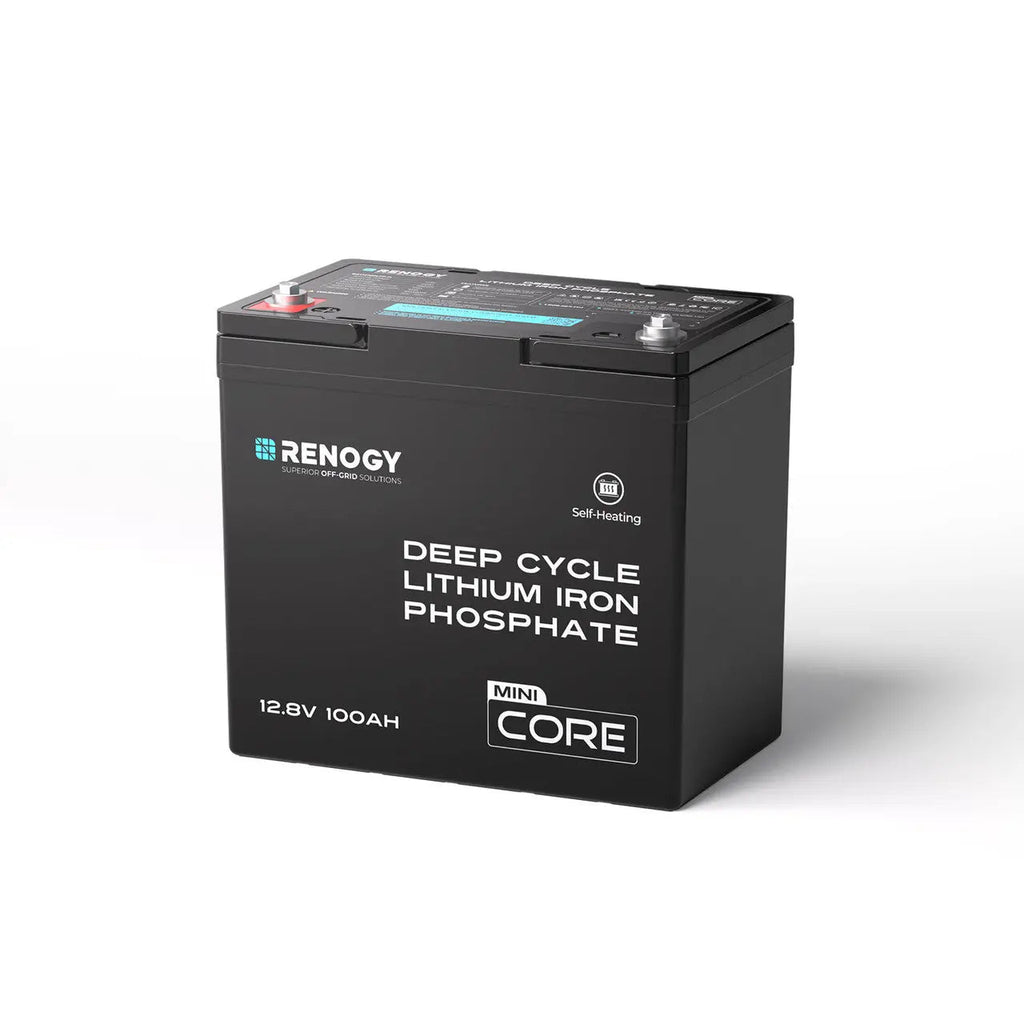Mini Size 12V 100Ah DuoHeat Tech Lithium Iron Phosphate Battery