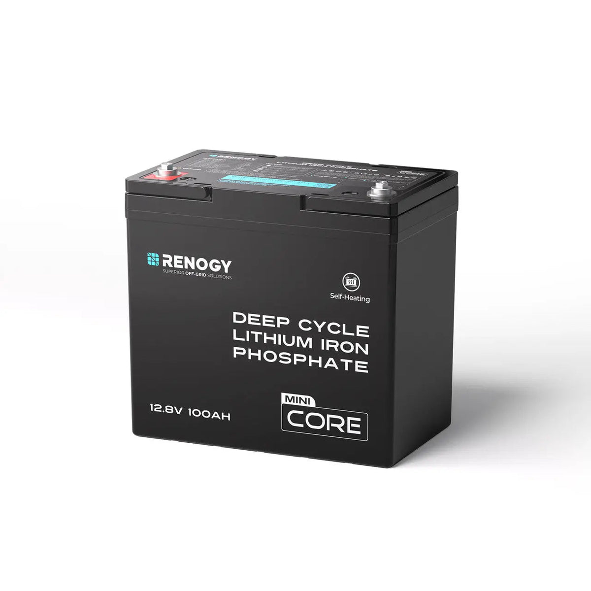 Mini Size 12V 100Ah DuoHeat Tech Lithium Iron Phosphate Battery