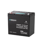 12.8V 100Ah Lithium Iron Phosphate Battery