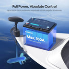 12.8V 100Ah Lithium Iron Phosphate Battery