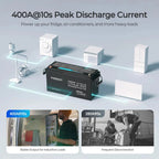 Pre-Sale 12V 200Ah LiFePO4 Battery w/ Low-Temperature Protection