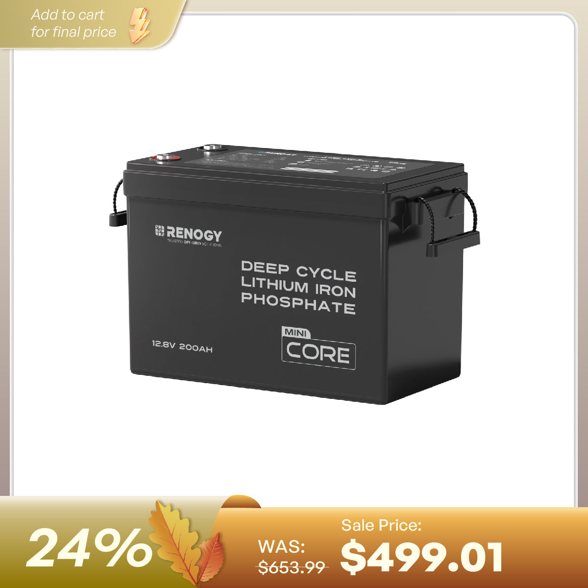 Pre-Sale 12V 200Ah LiFePO4 Battery w/ Low-Temperature Protection