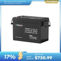 Renogy Core Mini - LiFePO4 12.8V  300/200/100Ah Lithium Batteries