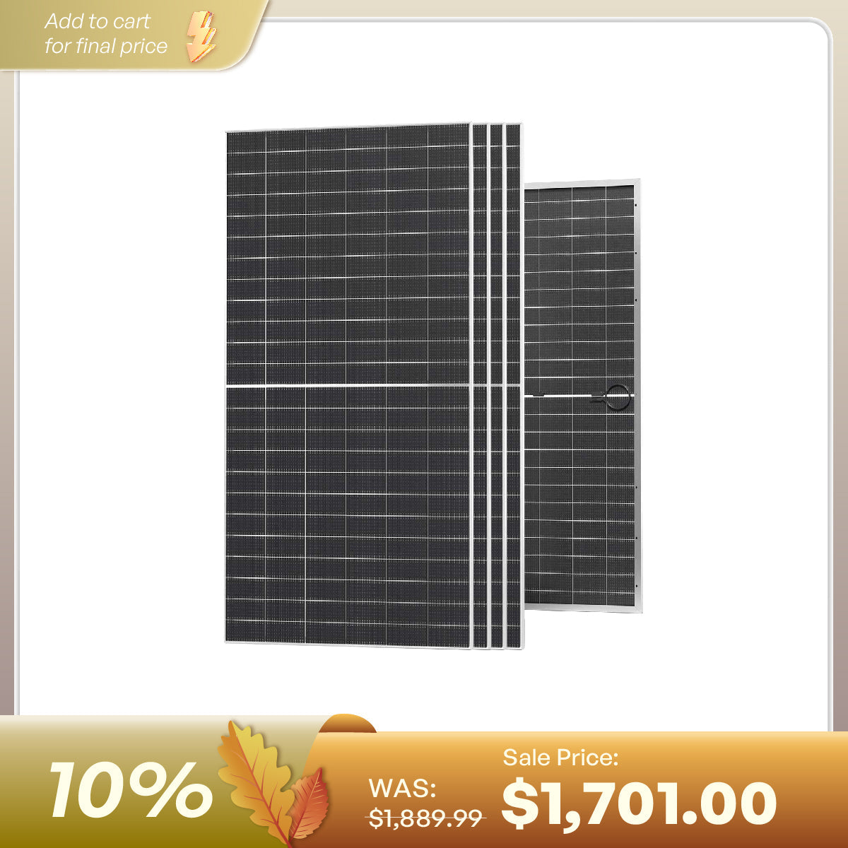 590W N-Type Bifacial Solar Panel (2-Pack)