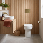 Rimini Rimless Back to wall Toilet With Soft Close Seat - White