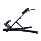 Rapid Motion 45 Degree Hyperextension