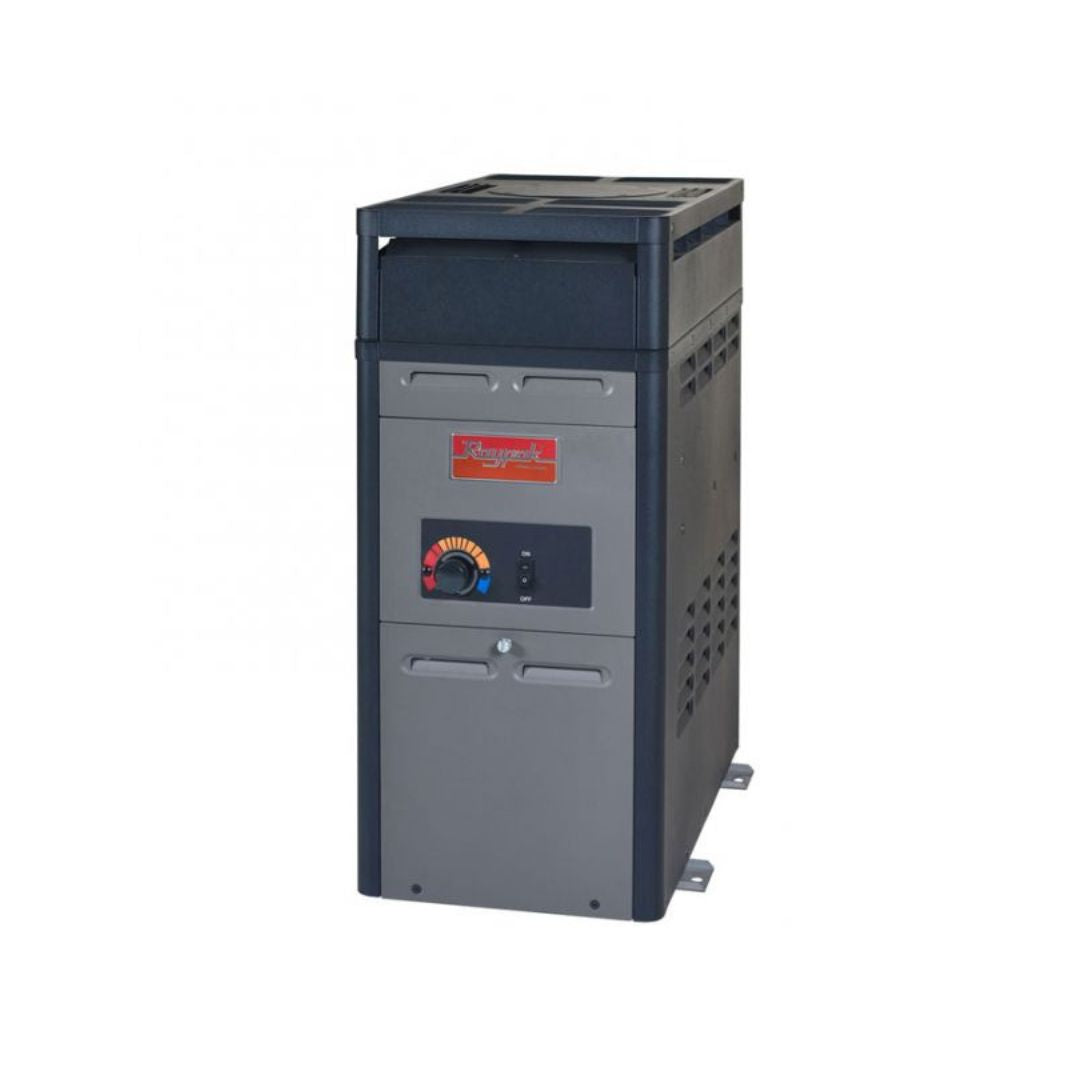 106,000 BTU Raypak Natural Gas Heater
