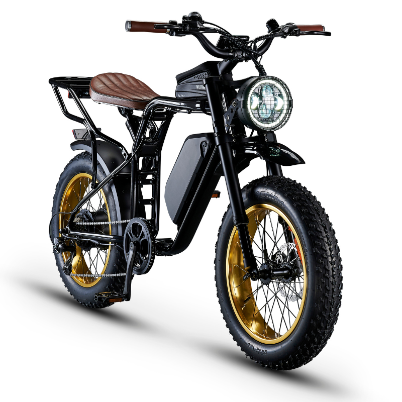Red Rocket SX Sport Utility Fat Tyre Electric Bike 250W