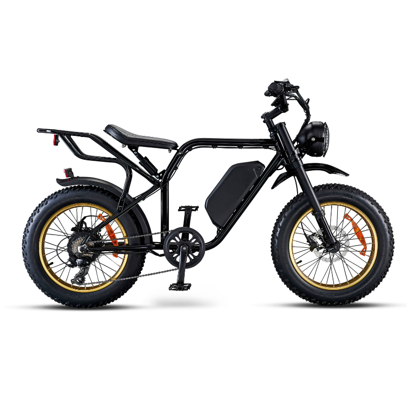 Red Rocket SX Sport Utility Fat Tyre Electric Bike 250W