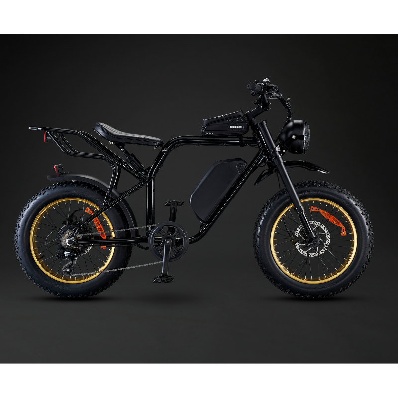 Red Rocket SX Sport Utility Fat Tyre Electric Bike 250W