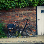 RooDog Chic Step Through Electric Bike
