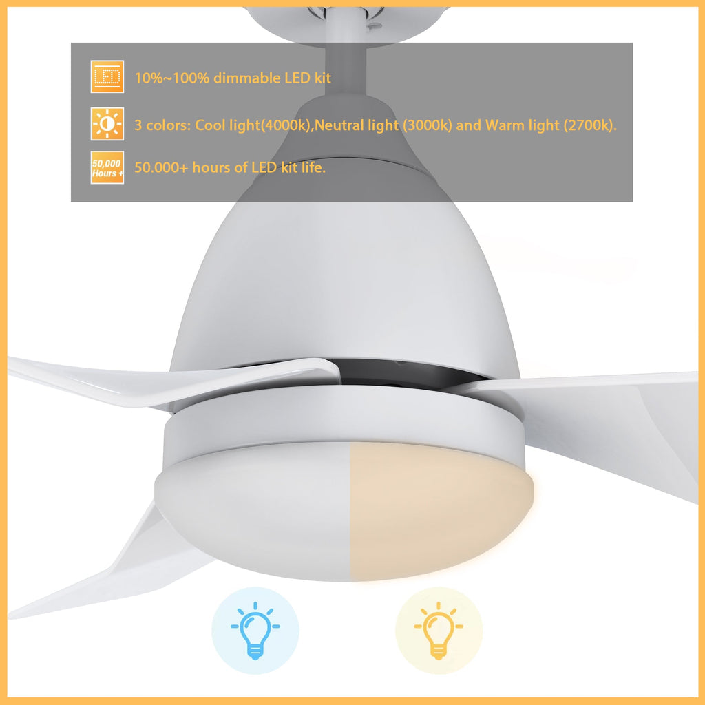 ROQUE 44 inch 3-Blade Smart Ceiling Fan with LED Light & Remote