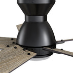 ASCENDER 48 inch 5-Blade Flush Mount Smart Ceiling Fan with LED Light & Remote