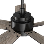 ASCENDER 48 inch 5-Blade Smart Ceiling Fan with LED Light & Remote