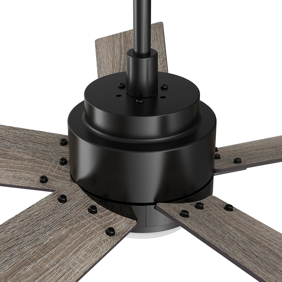 ASCENDER 48 inch 5-Blade Smart Ceiling Fan with LED Light & Remote