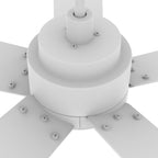 ASCENDER 48 inch 5-Blade Smart Ceiling Fan with LED Light & Remote