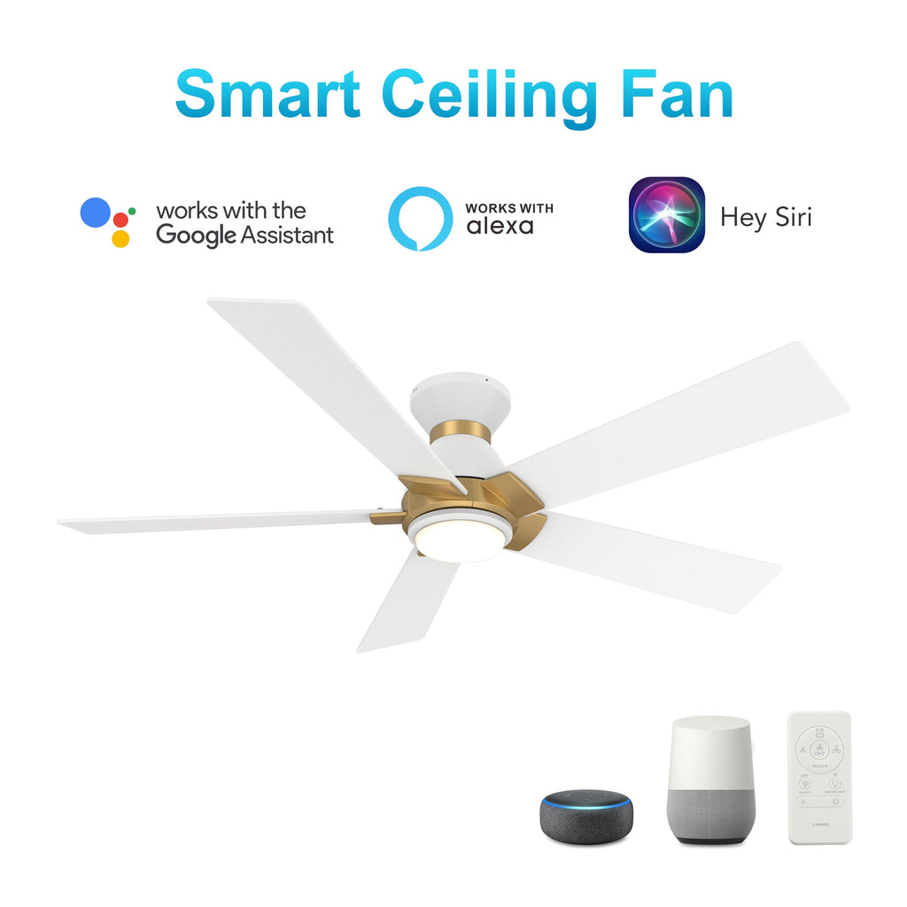 ASCENDER 48 inch 5-Blade Flush Mount Smart Ceiling Fan with LED Light & Remote