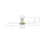 ASCENDER 48 inch 5-Blade Flush Mount Smart Ceiling Fan with LED Light & Remote