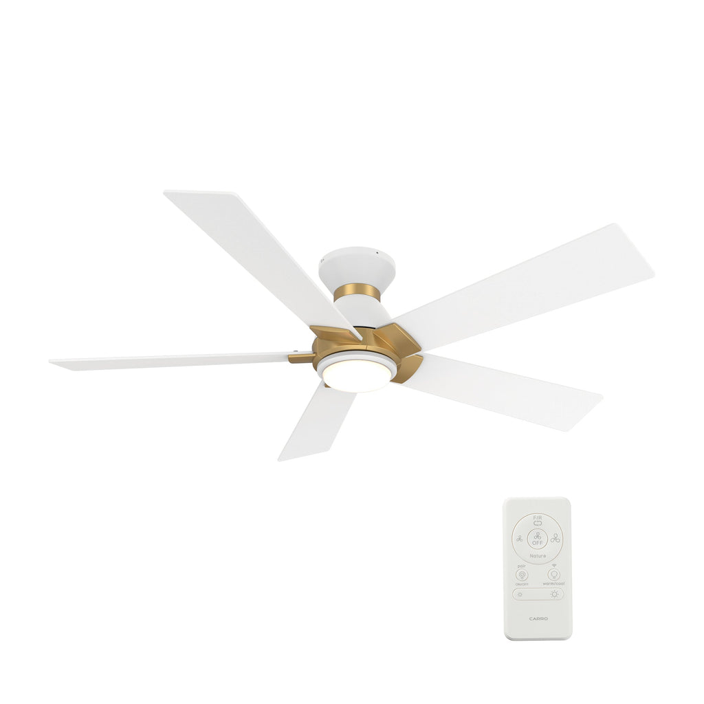 ASCENDER 48 inch (5-Blade) Replacement Blades