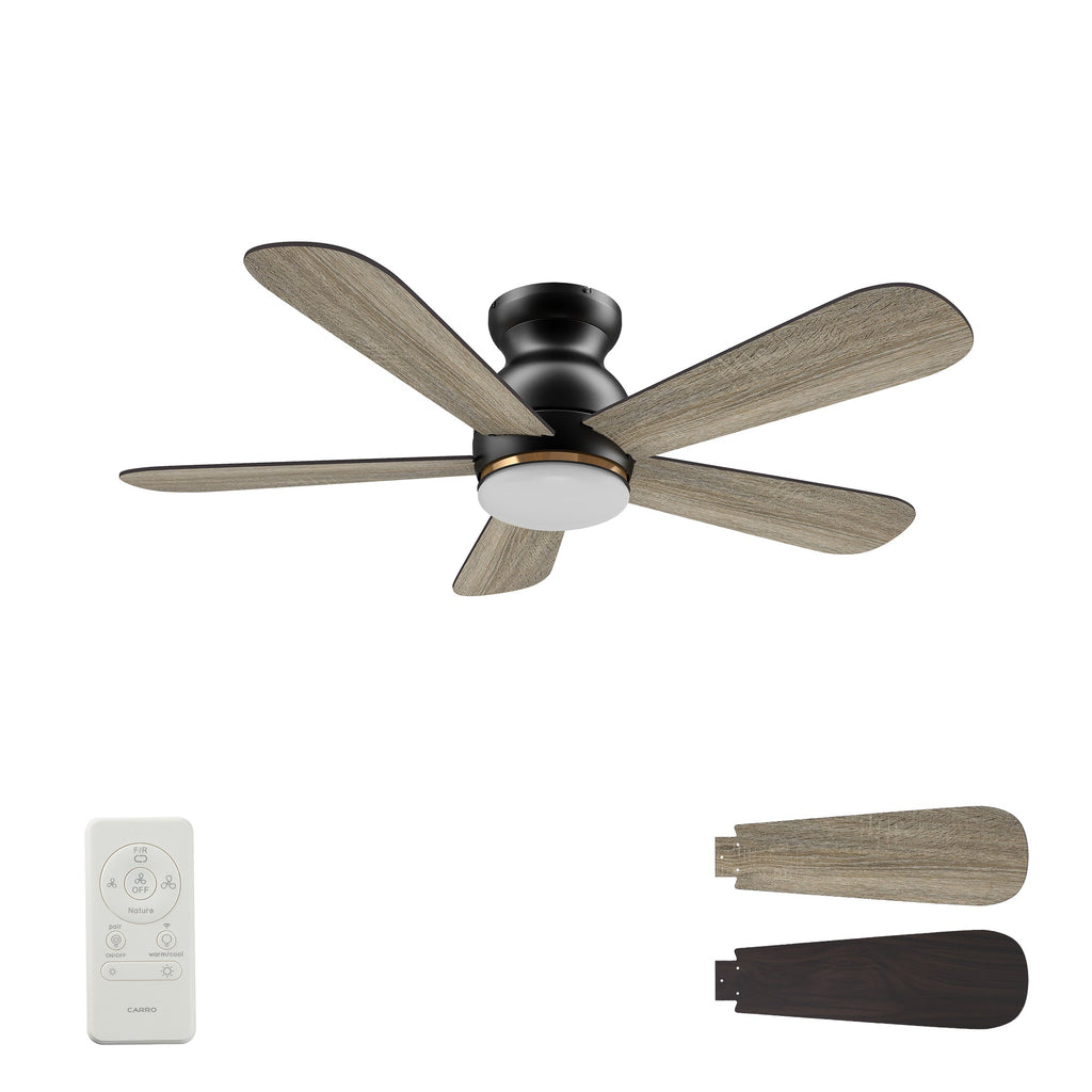 DUBOIS 48 inch 5-Blade Flush Mount Smart Ceiling Fan with LED Light & Remote