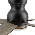 DUBOIS 48 inch 5-Blade Flush Mount Smart Ceiling Fan with LED Light & Remote