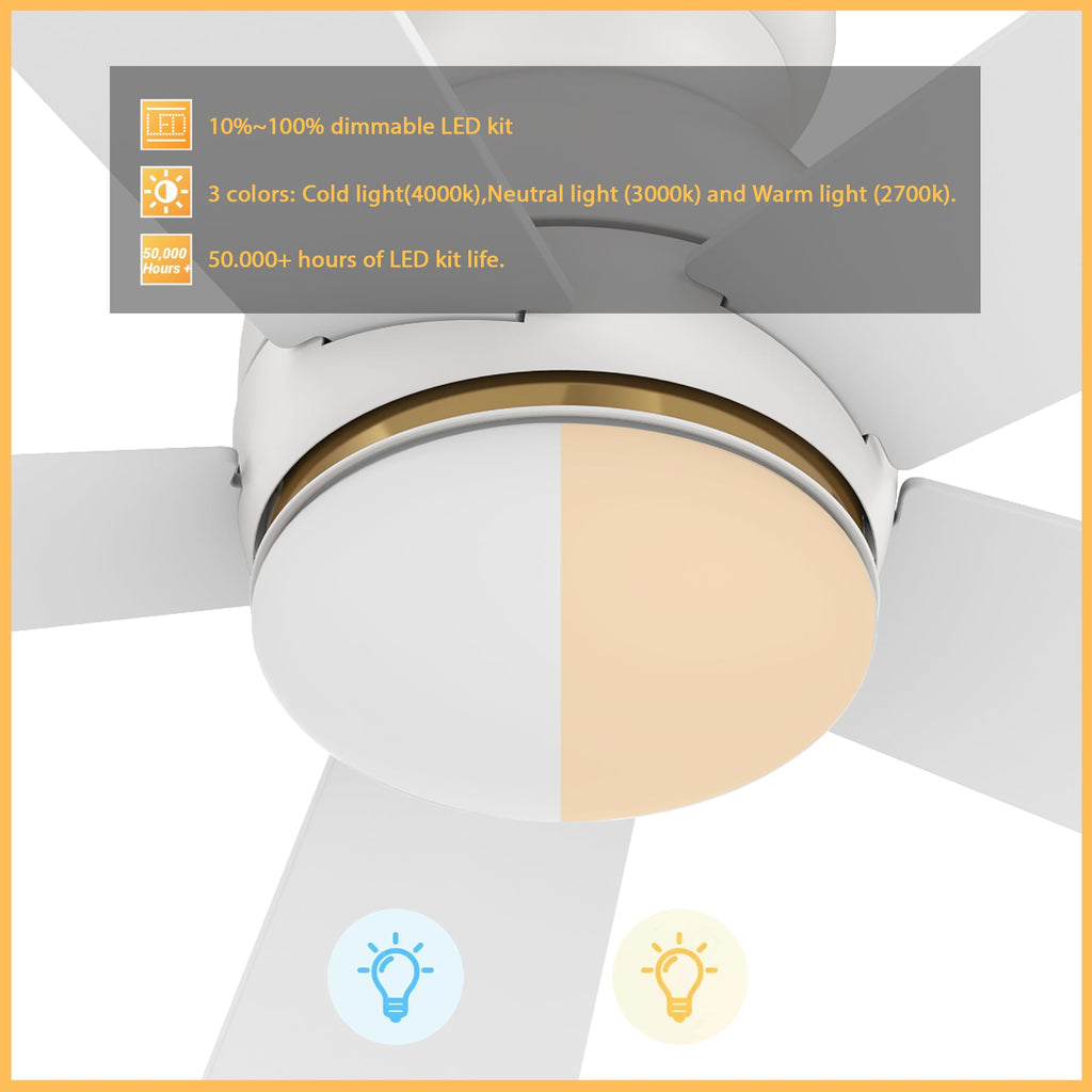 DUBOIS 48 inch 5-Blade Flush Mount Smart Ceiling Fan with LED Light & Remote