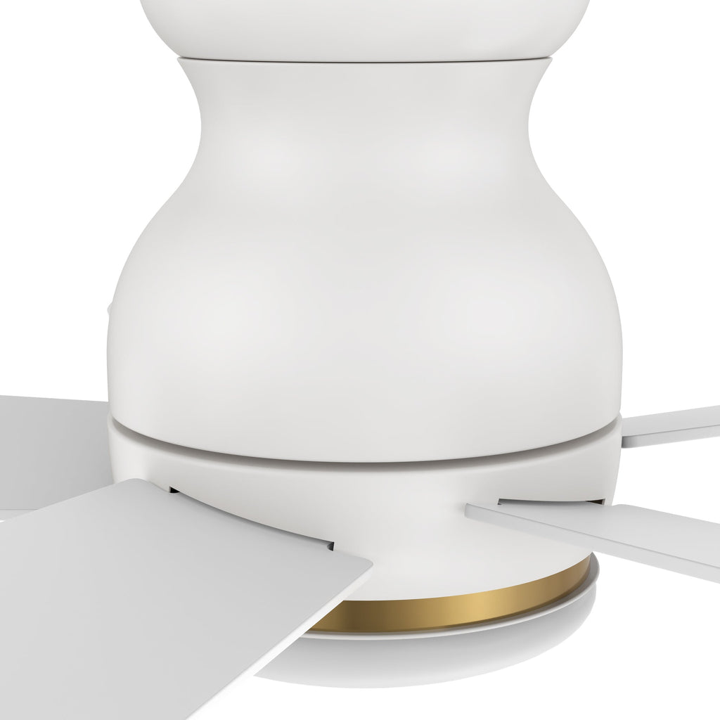 DUBOIS 48 inch 5-Blade Flush Mount Smart Ceiling Fan with LED Light & Remote
