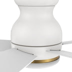 DUBOIS 48 inch 5-Blade Flush Mount Smart Ceiling Fan with LED Light & Remote