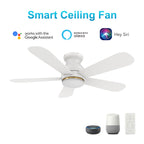 DUBOIS 48 inch 5-Blade Flush Mount Smart Ceiling Fan with LED Light & Remote