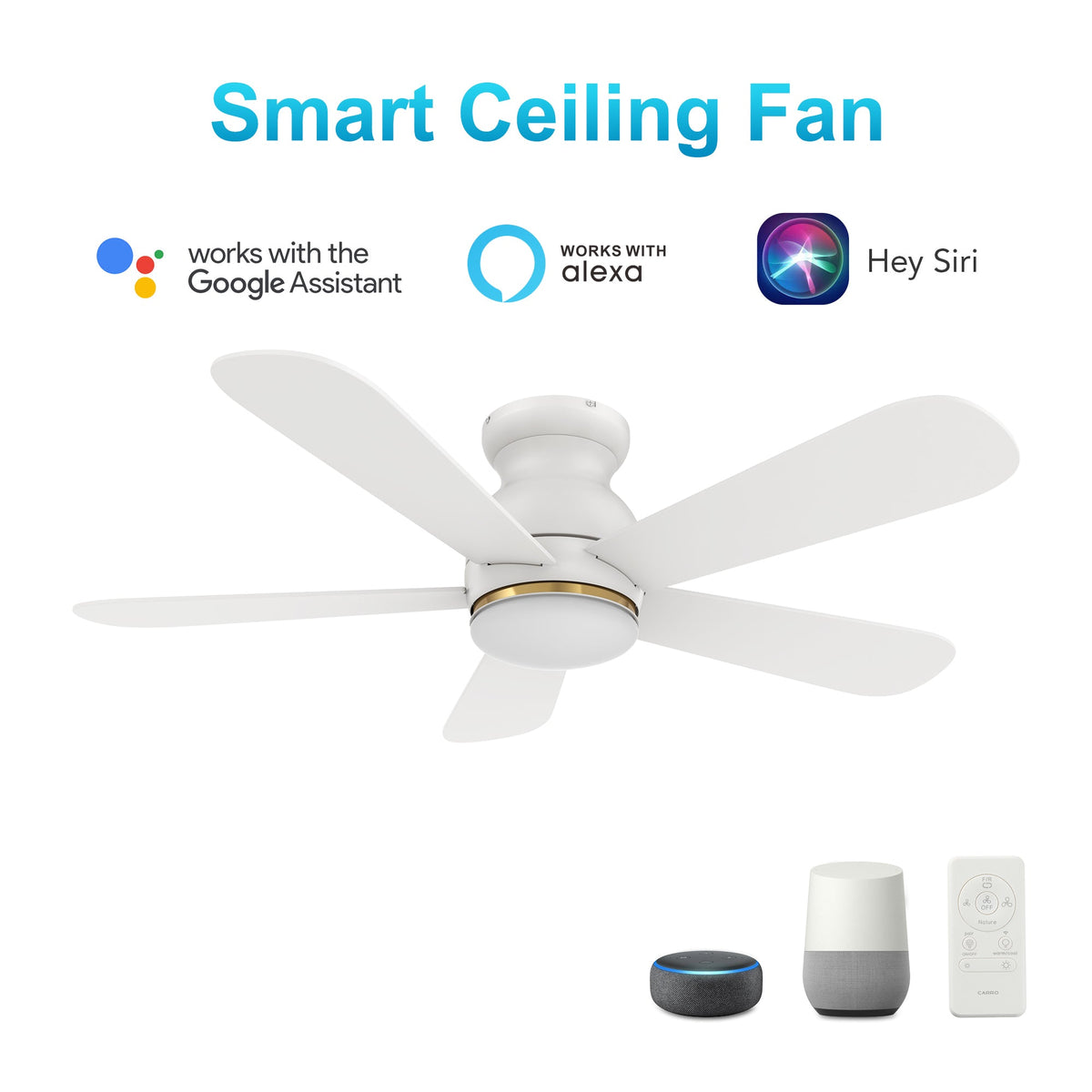 DUBOIS 48 inch 5-Blade Flush Mount Smart Ceiling Fan with LED Light & Remote