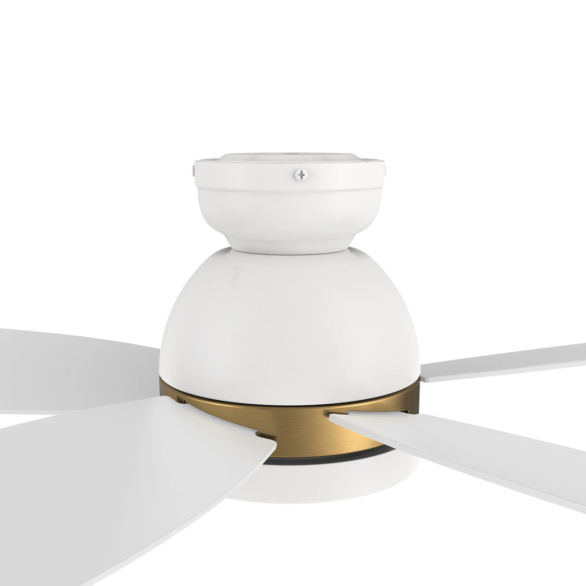 FREMONT 48 inch 5-Blade Flush Mount Smart Ceiling Fan with LED Light & Remote