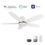 FREMONT 48 inch 5-Blade Flush Mount Smart Ceiling Fan with LED Light & Remote