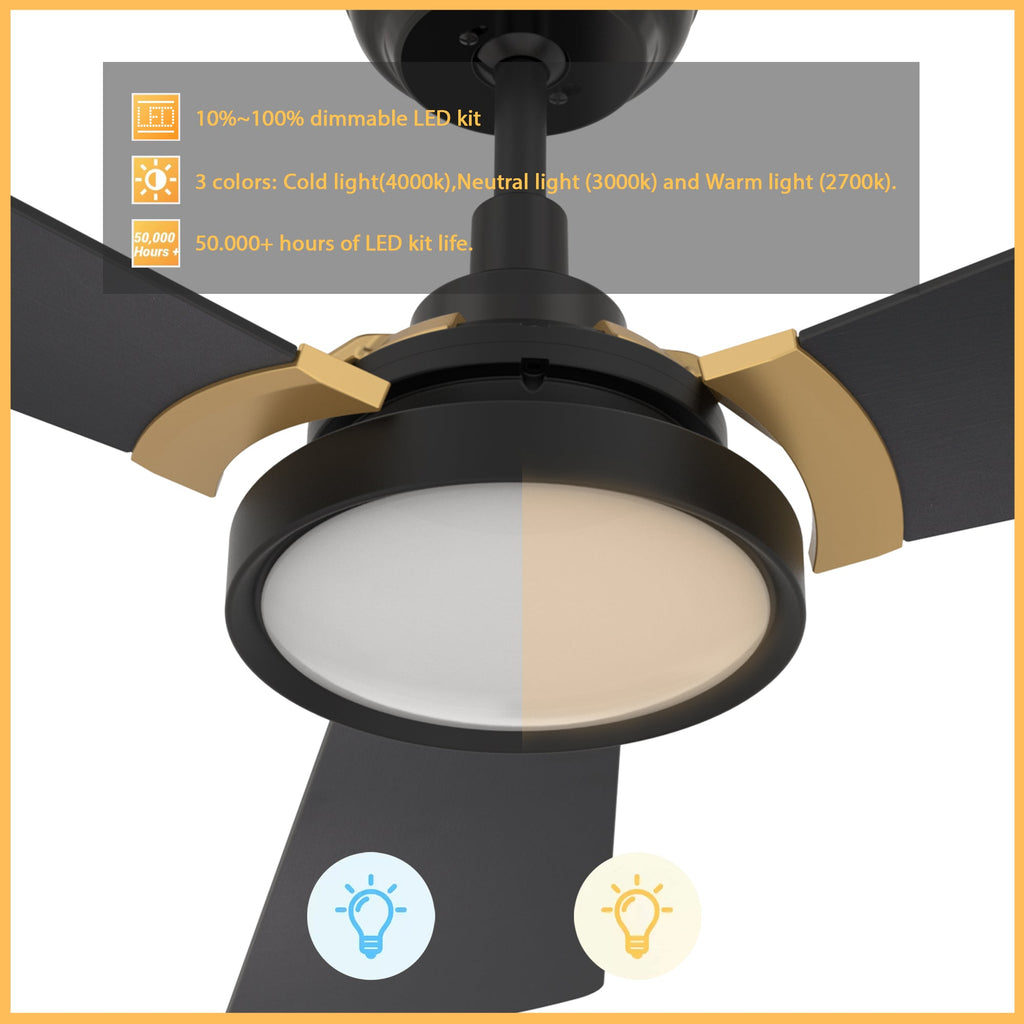 BRISA 52 inch 3-Blade Smart Ceiling Fan with LED Light & Remote