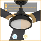 BRISA 52 inch 3-Blade Smart Ceiling Fan with LED Light & Remote