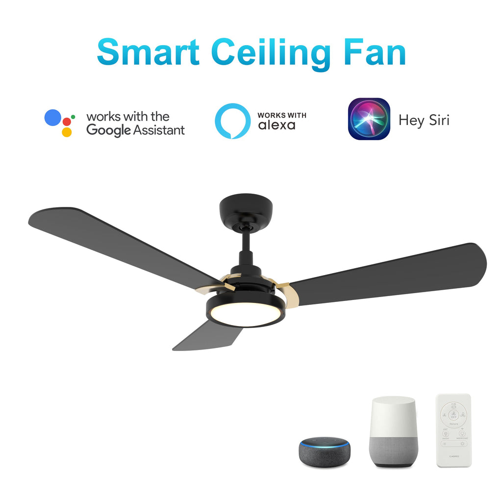 BRISA 52 inch 3-Blade Smart Ceiling Fan with LED Light & Remote