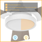 BRISA 52 inch 3-Blade Smart Ceiling Fan with LED Light & Remote