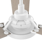 BRISA 52 inch 3-Blade Smart Ceiling Fan with LED Light & Remote
